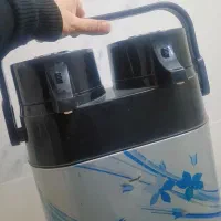 فلاکس دوقلو