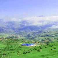شاهنجر دشت (شاه ناجر) زمین ۵۰۰ متری