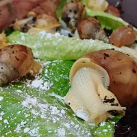 حلزون آچاتینا/حیوان خانگی خاص و بی‌صدا|خزنده|کرمان, |دیوار