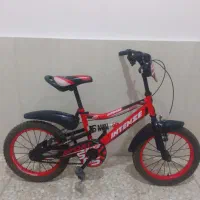 دوچرخه کمک دار ۱۶