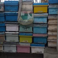 کندو|لوازم جانبی حیوانات|شاهرود (اردبیل), |دیوار