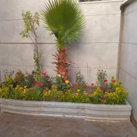 خدمات سمپاشی و باغبانی تخصصی سیار|خدمات باغبانی و درختکاری|اصفهان, شهریار|دیوار