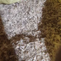 پوشال خشک ۳۰ کیسه|لوازم جانبی حیوانات|خرمدره, |دیوار