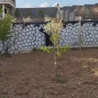 ویلا با چاه آب اختصاصی در  باغ|فروش خانه و ویلا|صوفیان, |دیوار