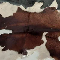 پادری مو بز