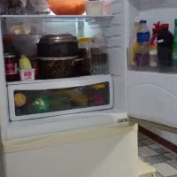 یخچال وفریزر  اسنوا|یخچال و فریزر|رشت, نظری|دیوار