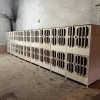 گنجه مرغ و خروس لاری و جفت کن کبوتر،کفتر نقد و چکی|لوازم جانبی حیوانات|ساری, |دیوار