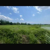 زمین گیلان شاقاچی|فروش زمین و ملک کلنگی|رشت, حومه رشت|دیوار