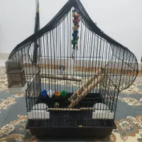 قفس بزرگ با کلیه وسایل برای عروس هلندی