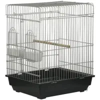 عروس هلندی|پرنده|اراک, |دیوار