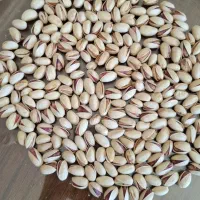 مرکزتولیدوخریدوفروش پسته ومغزفیض آبادمه ولات|خوردنی و آشامیدنی|مه ولات, |دیوار