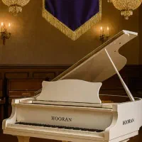 گارانتی رسمی قیمت خالص کارخانه خرید کن