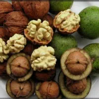گردو سبز درج یک قیمت مناسب