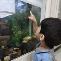 آکواریوم