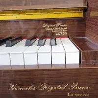 پیانو یاماها طرح اگوستیک وارداتی|پیانو، کیبورد، آکاردئون|تهران, شهرک چیتگر|دیوار