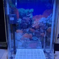 آکواریوم شیشه خم شرکتی شیک|ماهی|همدان, |دیوار