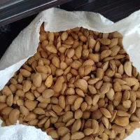 بادام درختی درجه یک