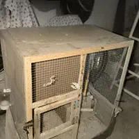 قفس پرنده عروس هلندی وپرندهدهای دیگه