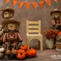 فروش عروسک مترسک