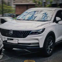 دیگنیتی پرایم Prime داخل مشکی*مارون/*1404صفر روز