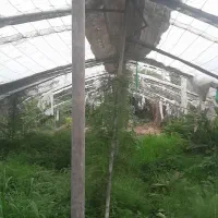 فروش اسکلت فلزی گلخانه