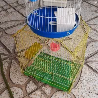 قفس پرنده