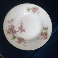بشقاب چینی