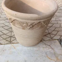 گلدان|گل و گیاه طبیعی|شاهین‌شهر, فردوسی|دیوار