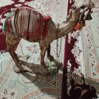 وسایل دکوری