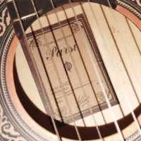 گیتار پارسی سری M