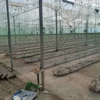 ساخت گلخانه با شرایط مناسب بدون واسطه