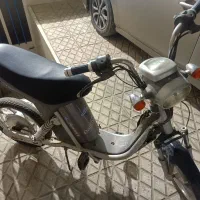 موتور برقی دندی ( بزرگسال)