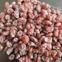 کشمش بیدانه آفتابی.پاک شده درجه ۱