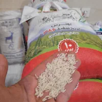 بورس برنج و چای و روغن و قند و شکر|خوردنی و آشامیدنی|مراغه, |دیوار