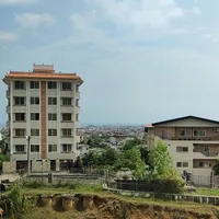 مشارکت در ساخت پلاک یک جنگل