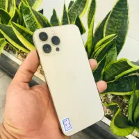 13promax خوشمزه