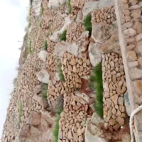 استخدام راننده با خودرو