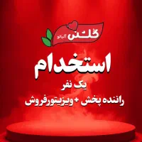 ویزیتور فروش و راننده پخش