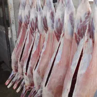 قصابی و سلاخی سیار گوسفند و گوساله در کرج