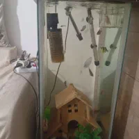 آکواریوم|ماهی|شیراز, درکی|دیوار