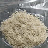 برنج دم سیاه
