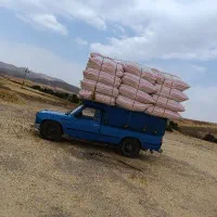 فروش کاه گندم جو