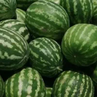 هندوانه