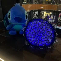 همایش دستهگل پروانه سوپرایز خفن ولنتاین زیر قیمت