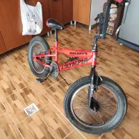 دوچرخه بی ام ایکس اولمپا|دوچرخه، اسکیت، اسکوتر|صدرا-فارس, فاز ۲|دیوار