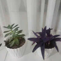 وسایل منزل|حراج|تبریز, |دیوار