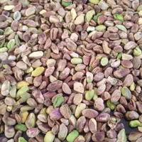 مغز پسته گندمی ودو