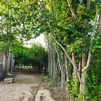 فروش باغچه1500 متری|فروش خانه و ویلا|شیراز, آبیاری|دیوار