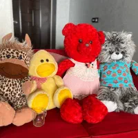 مجموعه عروسک  نو