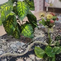 گل مصنویی درحدنو به علت اضافه بودن|گل مصنوعی|ایرانشهر, |دیوار